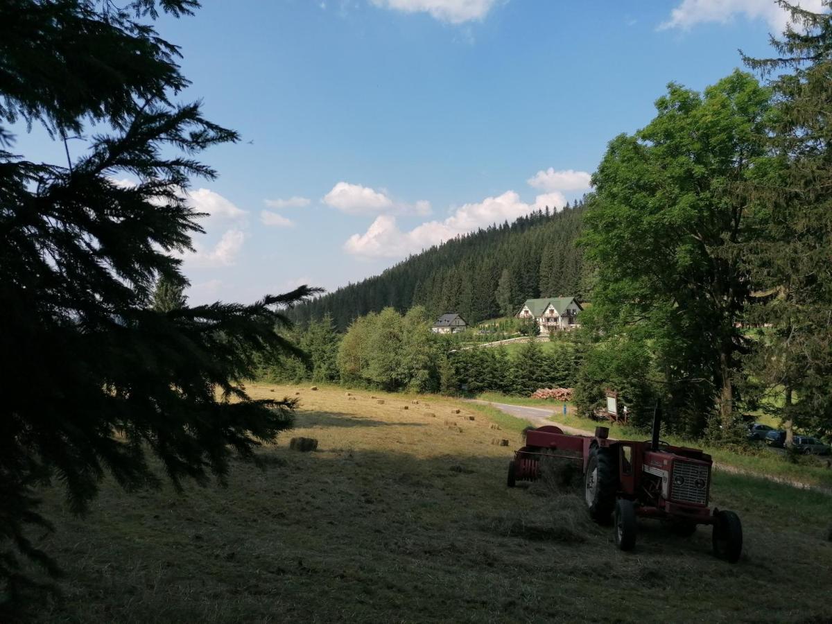 Gosciniec Janowa Gora - Agroturystyka Stronie Śląskie Buitenkant foto