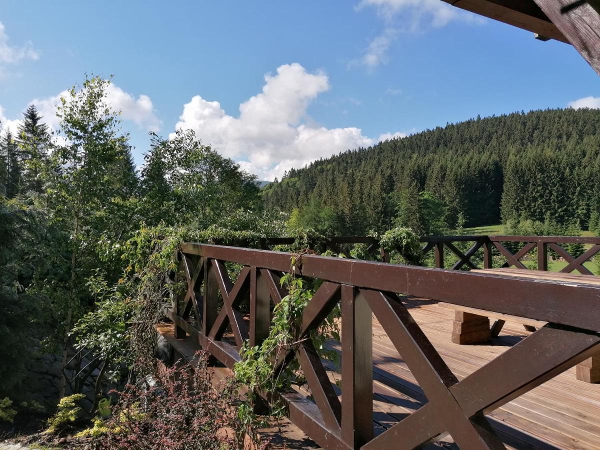 Gosciniec Janowa Gora - Agroturystyka Stronie Śląskie Buitenkant foto