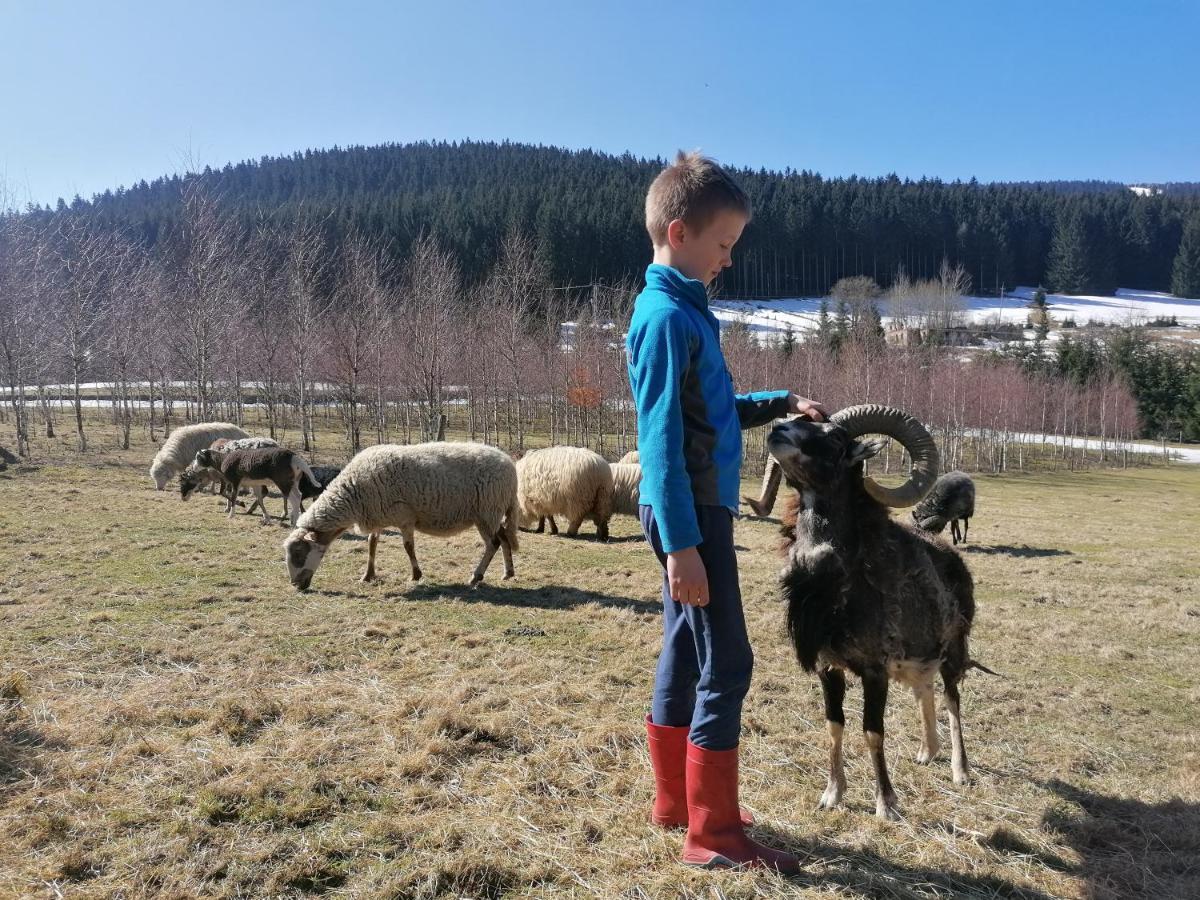 Gosciniec Janowa Gora - Agroturystyka Stronie Śląskie Buitenkant foto