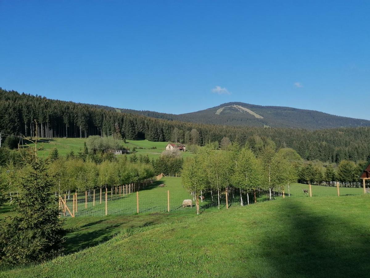Gosciniec Janowa Gora - Agroturystyka Stronie Śląskie Buitenkant foto